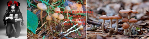 гашишное масло Алзамай