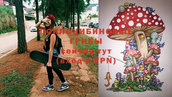 тгк Алексин