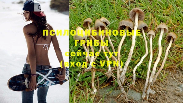 гашишное масло Алексеевка