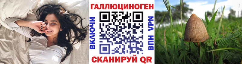 Псилоцибиновые грибы Cubensis  магазин    Сухой Лог 